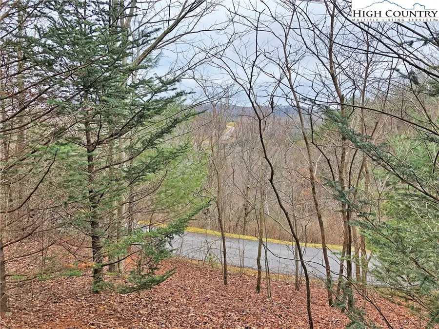 Lot 137 E Indrio Road, Blowing Rock, NC 28605 - Image #2