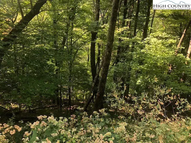 lot 39 Rainbow Ridge Road, Zionville, NC 28698 - Image #3