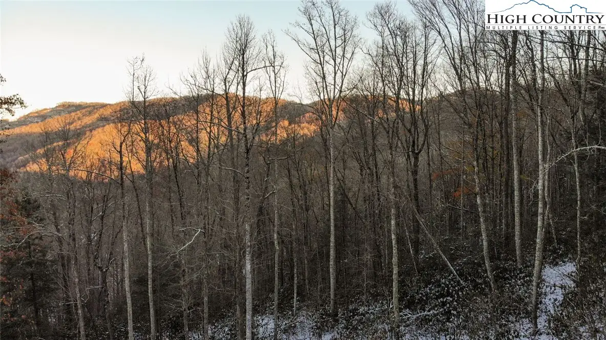 Lot 33 Willow Creek Estates, Vilas, NC 28692 - Image #1