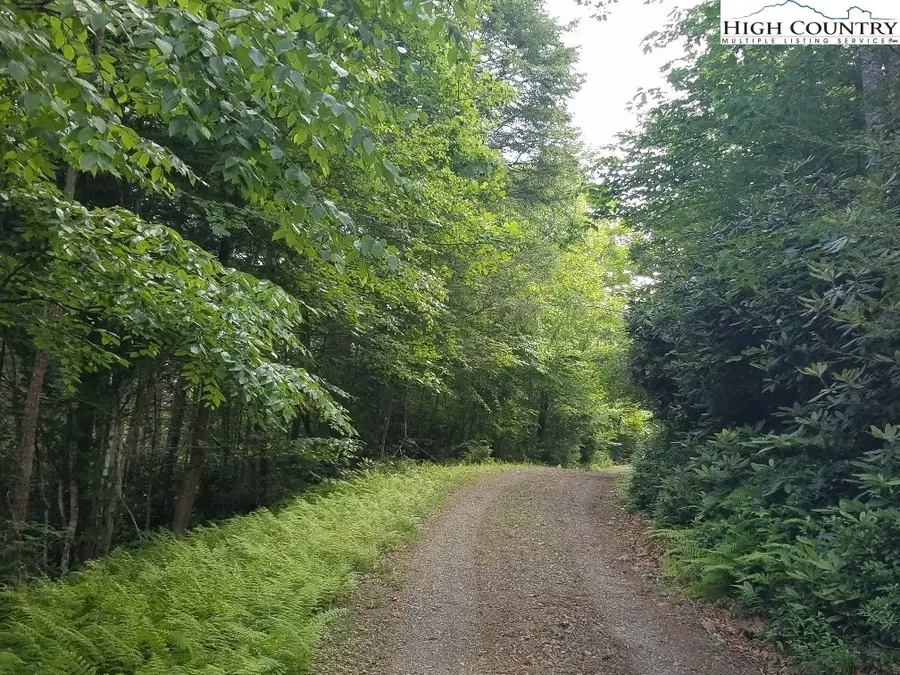 TBD Crestview Mountain Drive, Ennice, NC 28623 - Image #2
