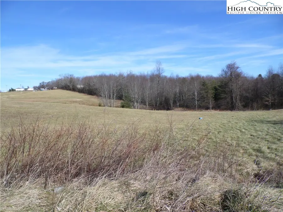 Lot #18 Green Briar Lane #18, Ennice, NC 28623 - Image #3