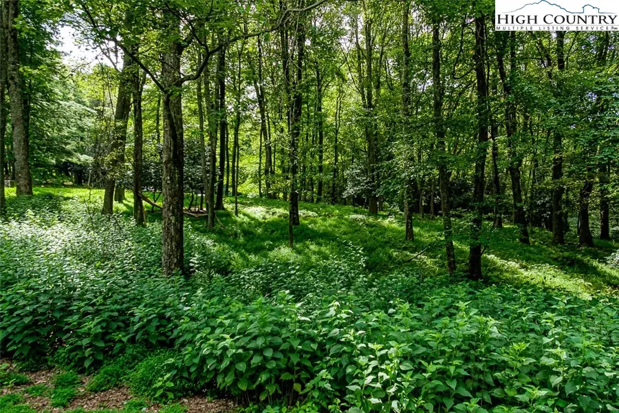 #4-K Oak Drive, Roaring Gap, NC 28668 - Image #2