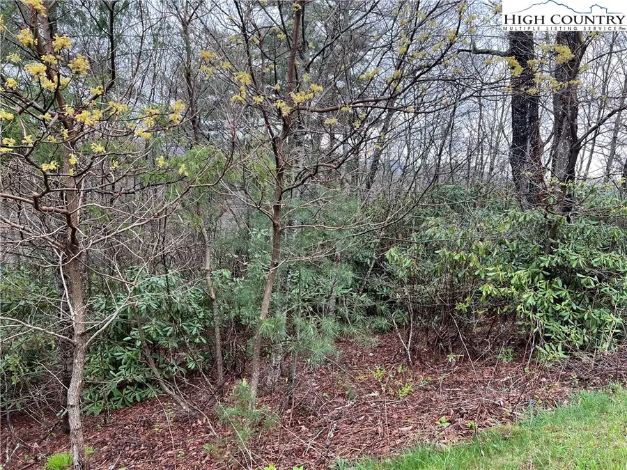 Lot 23 Cielo Road, Blowing Rock, NC 28605 - Image #2