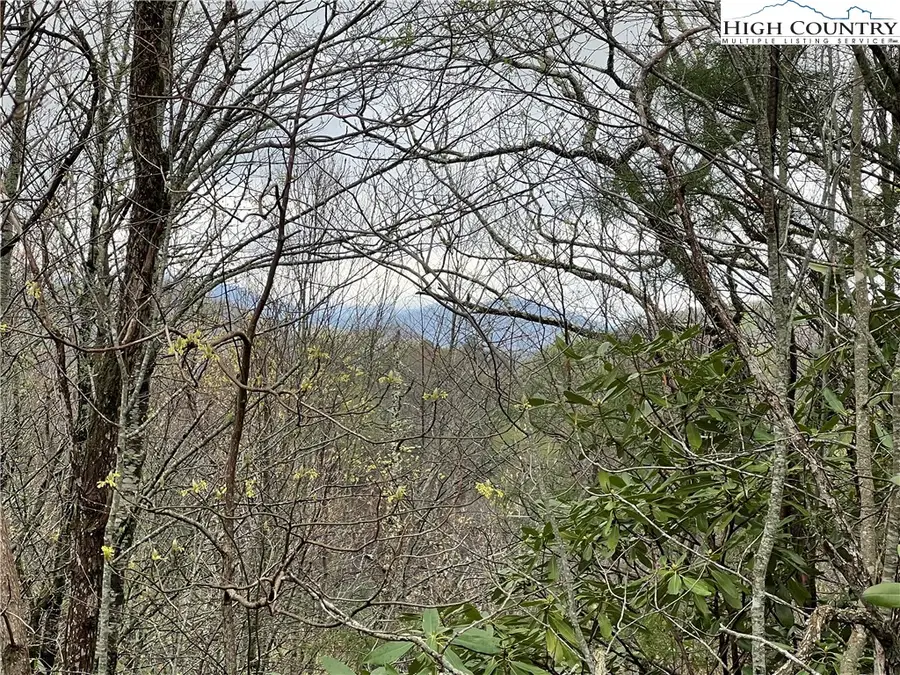 Lot 23 Cielo Road, Blowing Rock, NC 28605 - Image #3