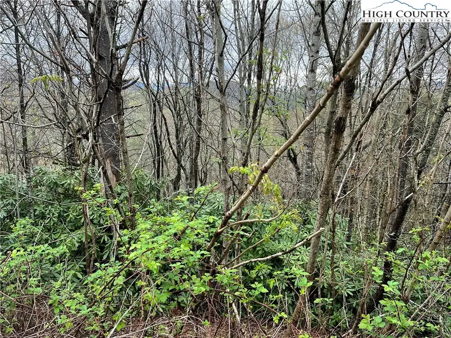 Lot 24 Cielo Road, Blowing Rock, NC 28605 - Image #2