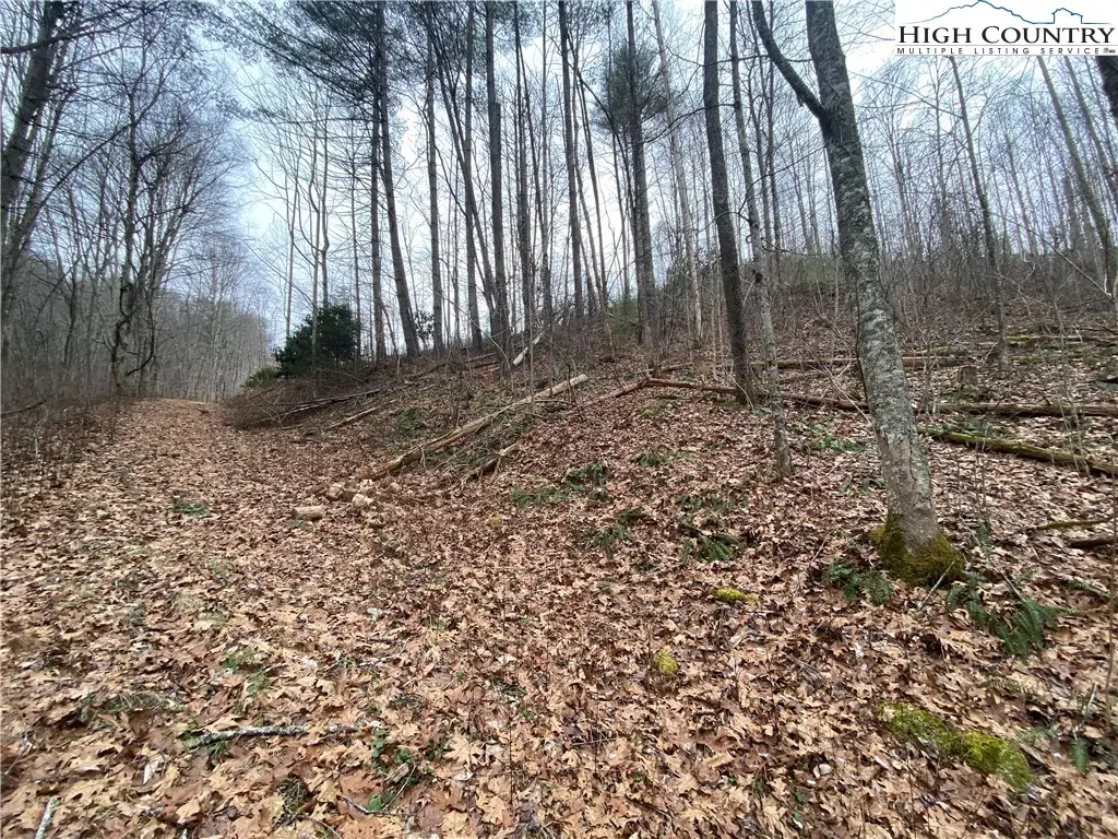 TBD Rabbit Ridge Run, Vilas, NC 28692 - Image #1
