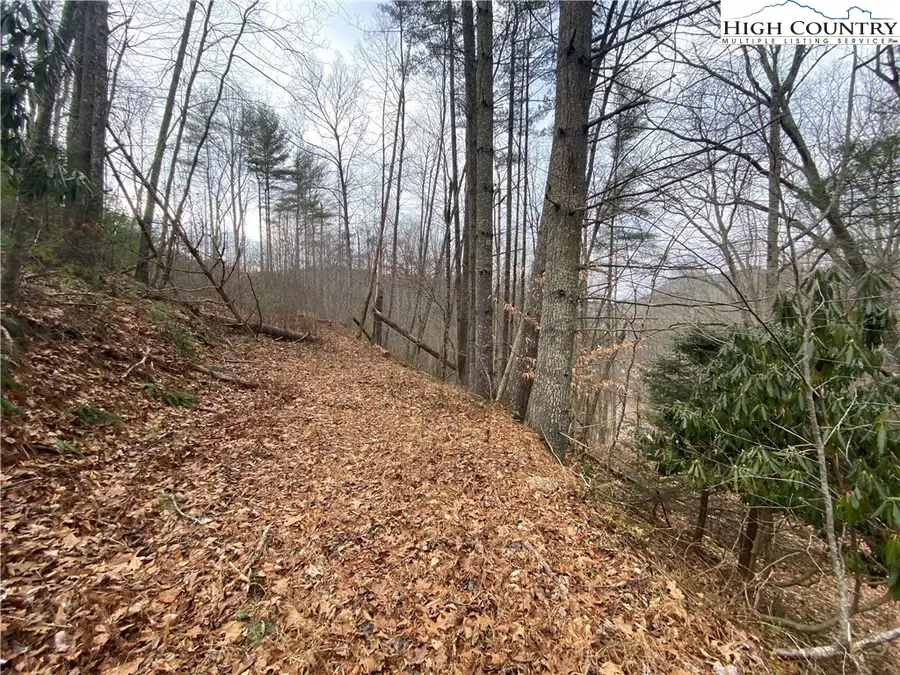 TBD Rabbit Ridge Run, Vilas, NC 28692 - Image #2