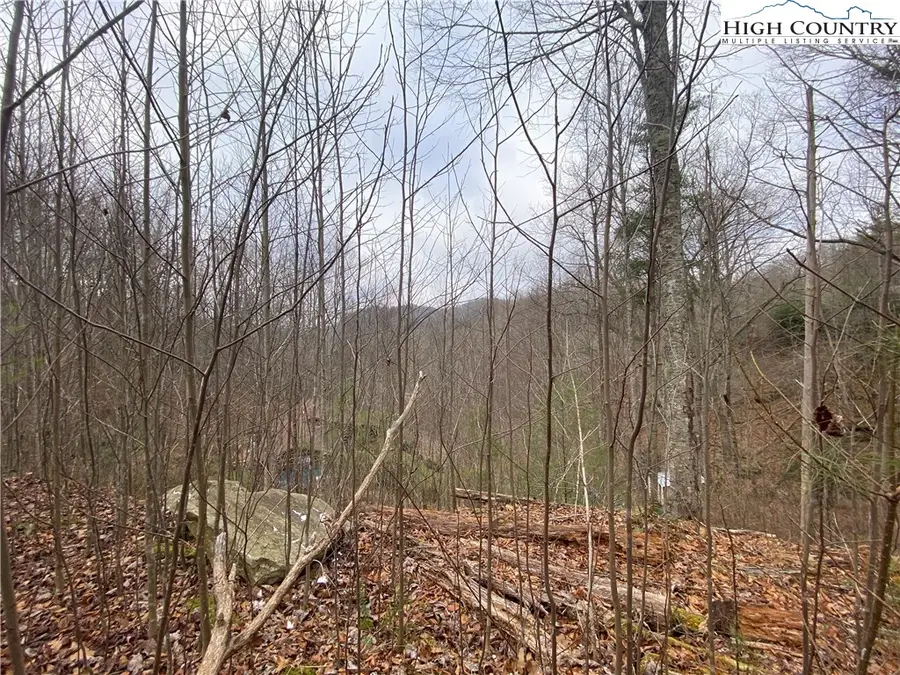 TBD Rabbit Ridge Run, Vilas, NC 28692 - Image #3