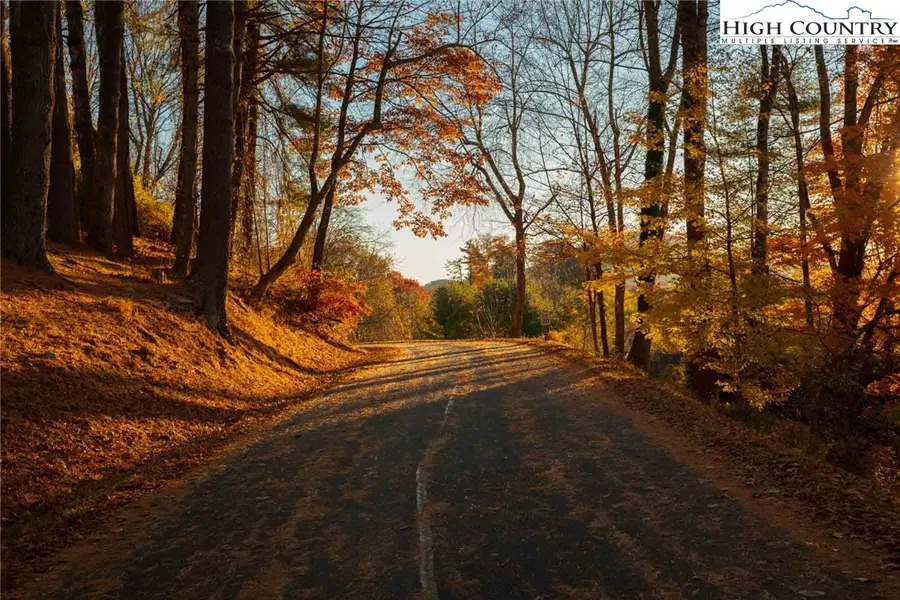 Lot 51 Lady Slipper Lane, Boone, NC 28607 - Image #3