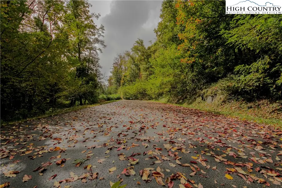 Lot 73 Dwarf Iris Lane, Boone, NC 28607 - Image #2