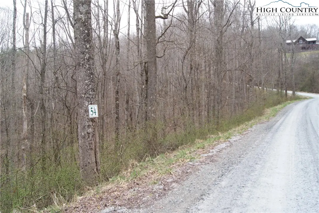 Lot 54 Toms Knob Road, Sparta, NC 28675 - Image #1
