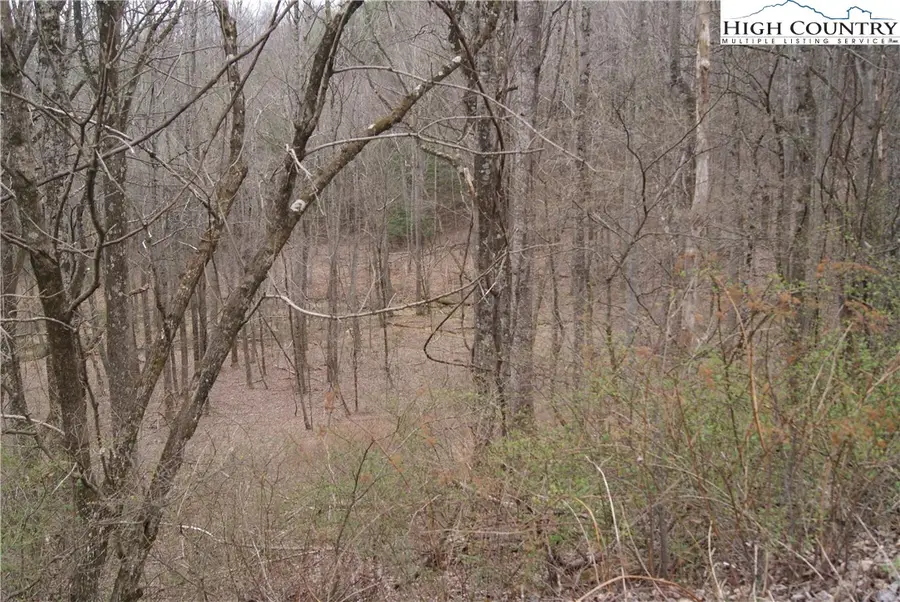 Lot 54 Toms Knob Road, Sparta, NC 28675 - Image #2
