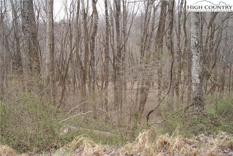 Lot 54 Toms Knob Road, Sparta, NC 28675 - Image #3