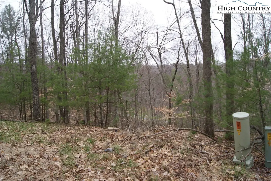 Lot 75 Forest Hill Drive, Sparta, NC 28675 - Image #1