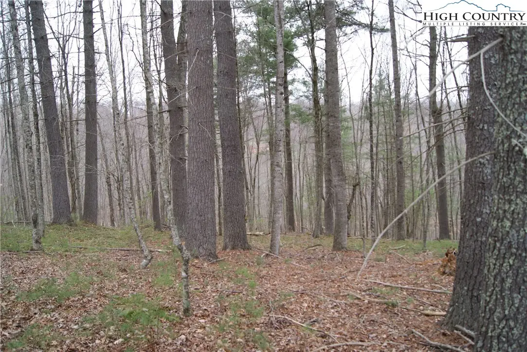 Lot 74 Forest Hill Drive, Sparta, NC 28675 - Image #1