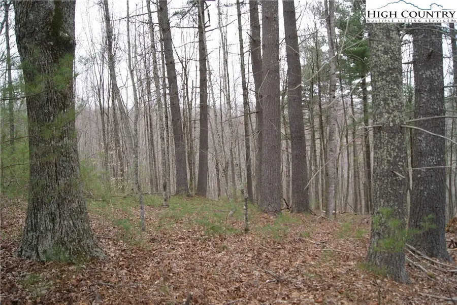 Lot 74 Forest Hill Drive, Sparta, NC 28675 - Image #2