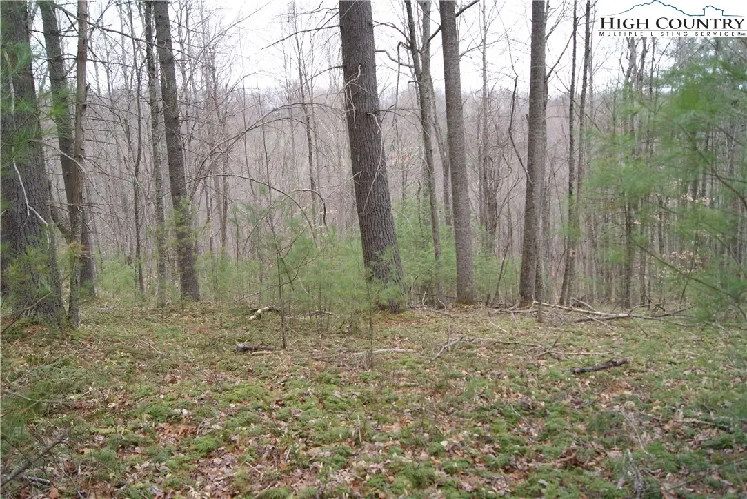 Lot 69 Laurel Mountain Drive, Sparta, NC 28675 - Image #1