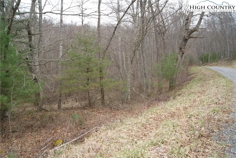 Lot 69 Laurel Mountain Drive, Sparta, NC 28675 - Image #2