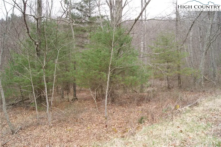 Lot 69 Laurel Mountain Drive, Sparta, NC 28675 - Image #3