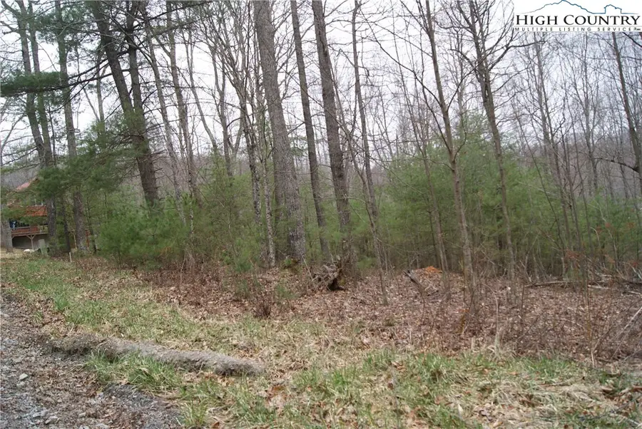 Lot 68 Forest Hill Drive, Sparta, NC 28675 - Image #2