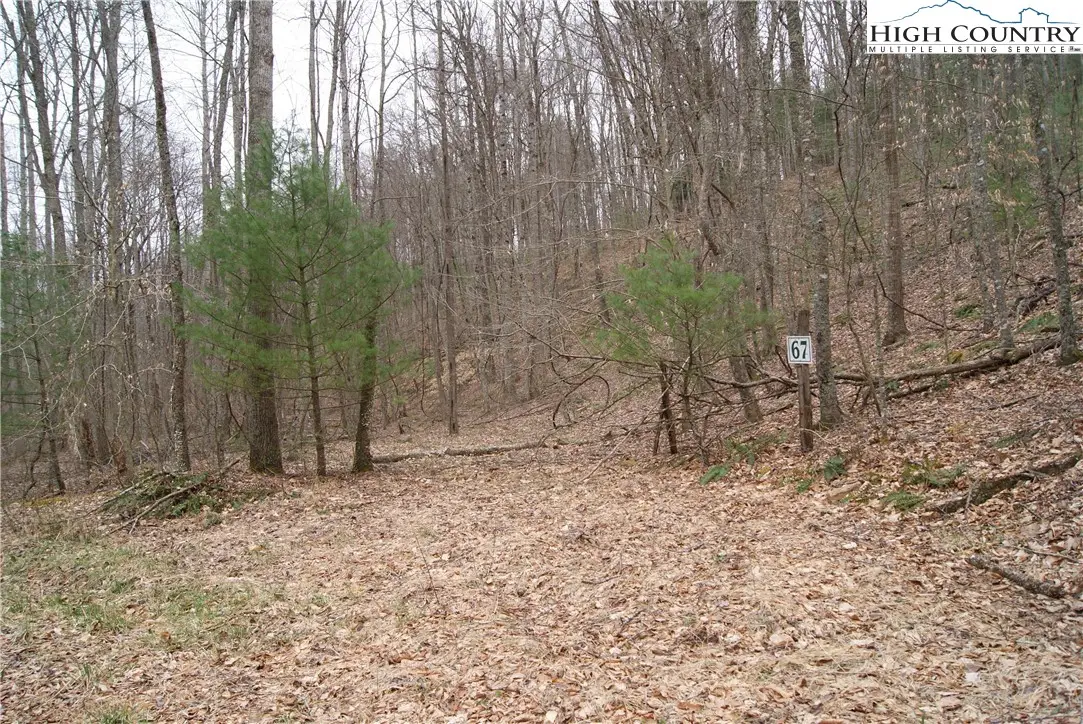 Lot 67 Laurel Mountain Drive, Sparta, NC 28675 - Image #1