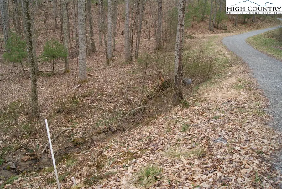 Lot 67 Laurel Mountain Drive, Sparta, NC 28675 - Image #2
