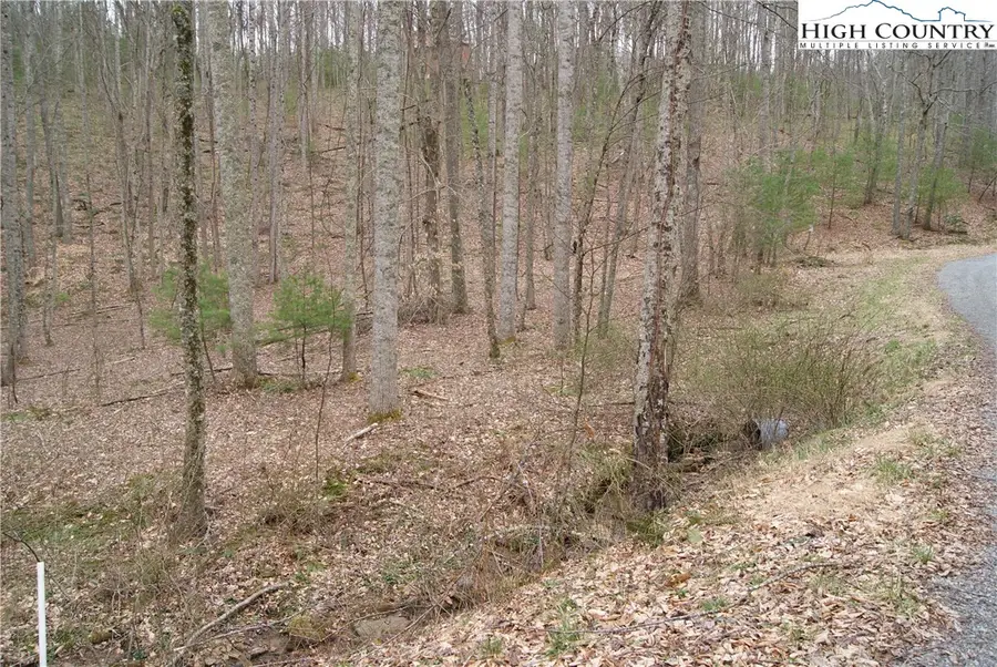 Lot 67 Laurel Mountain Drive, Sparta, NC 28675 - Image #3