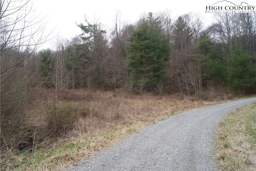 Lot 62 Laurel Mountain Drive, Sparta, NC 28675 - Image #1