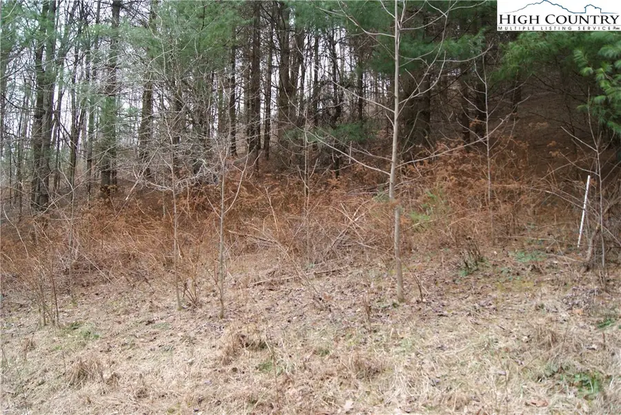 Lot 62 Laurel Mountain Drive, Sparta, NC 28675 - Image #2