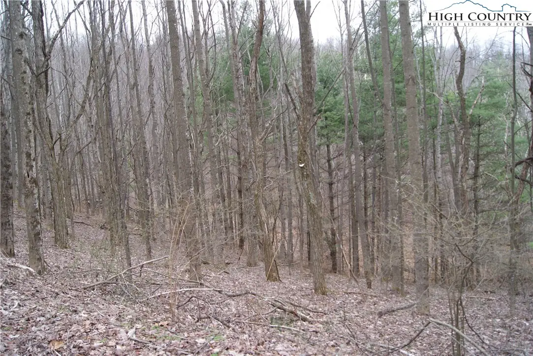 Lot 61 Forest Hill Drive, Sparta, NC 28675 - Image #1