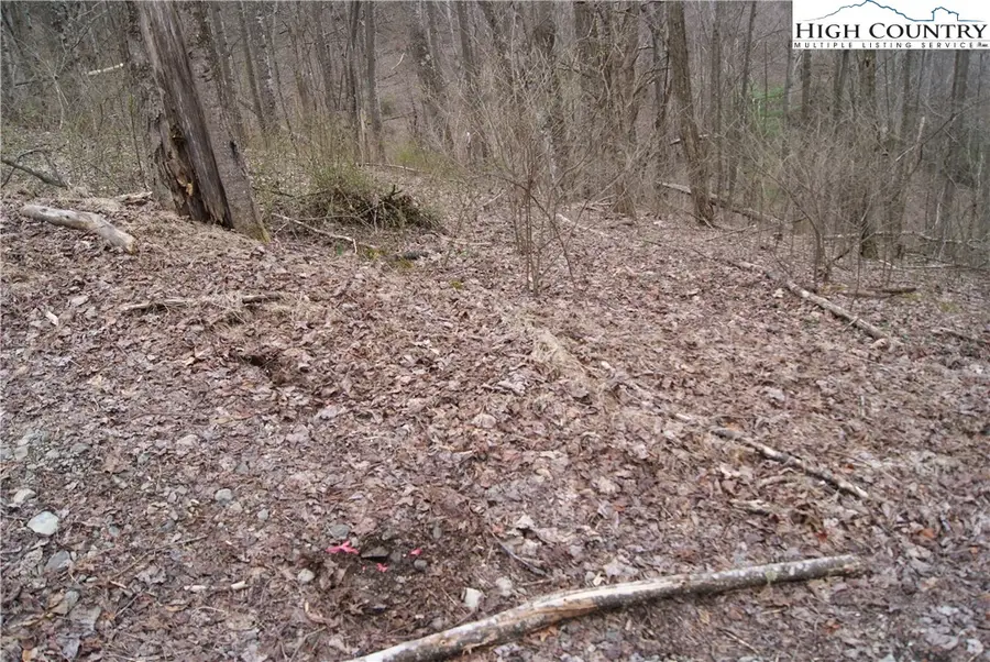 Lot 61 Forest Hill Drive, Sparta, NC 28675 - Image #3