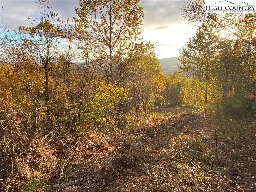 Lot 58 Toms Knob Road, Sparta, NC 28675 - Image #2