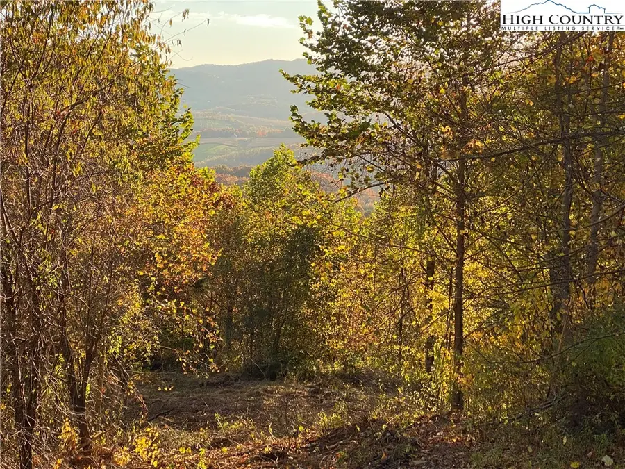 Lot 58 Toms Knob Road, Sparta, NC 28675 - Image #3