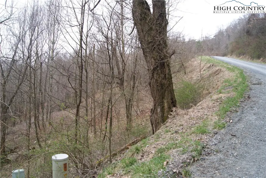 Lot 57 Toms Knob Road, Sparta, NC 28675 - Image #2