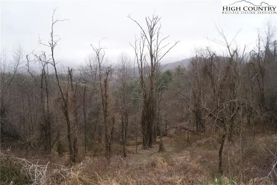 Lot 57 Toms Knob Road, Sparta, NC 28675 - Image #3