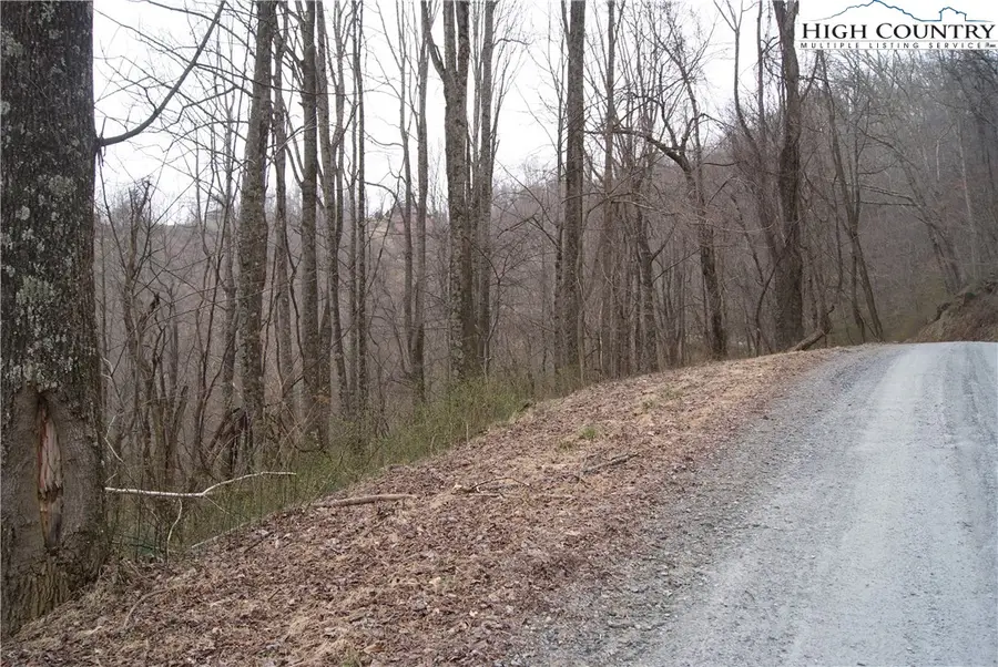 Lot 56 Toms Knob Road, Sparta, NC 28675 - Image #2