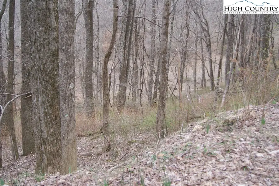 Lot 56 Toms Knob Road, Sparta, NC 28675 - Image #3