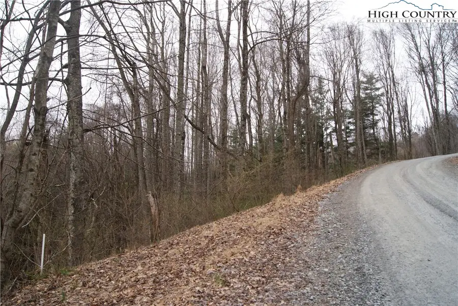 Lot 55 Laurel Mountain Drive, Sparta, NC 28675 - Image #3