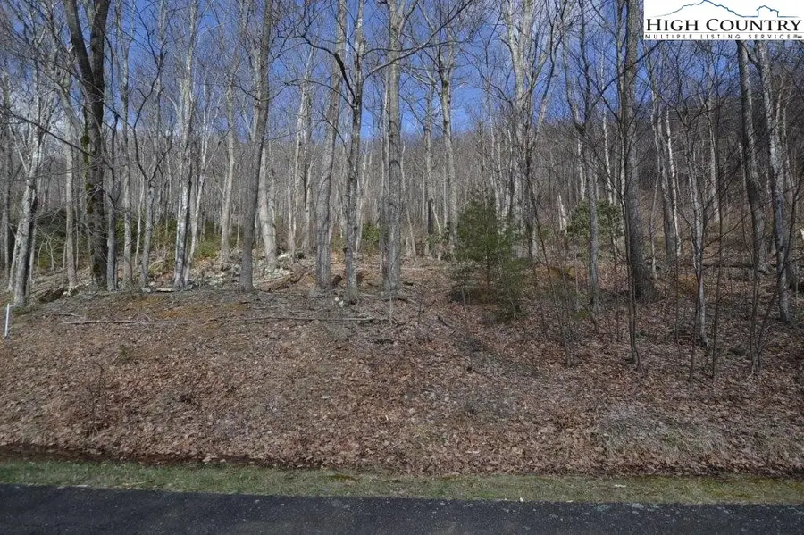 Lot 116 Lauren Lane, West Jefferson, NC 28694 - Image #2