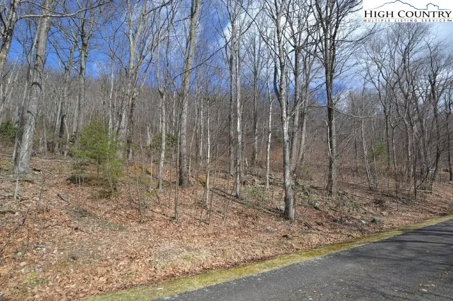 Lot 116 Lauren Lane, West Jefferson, NC 28694 - Image #3