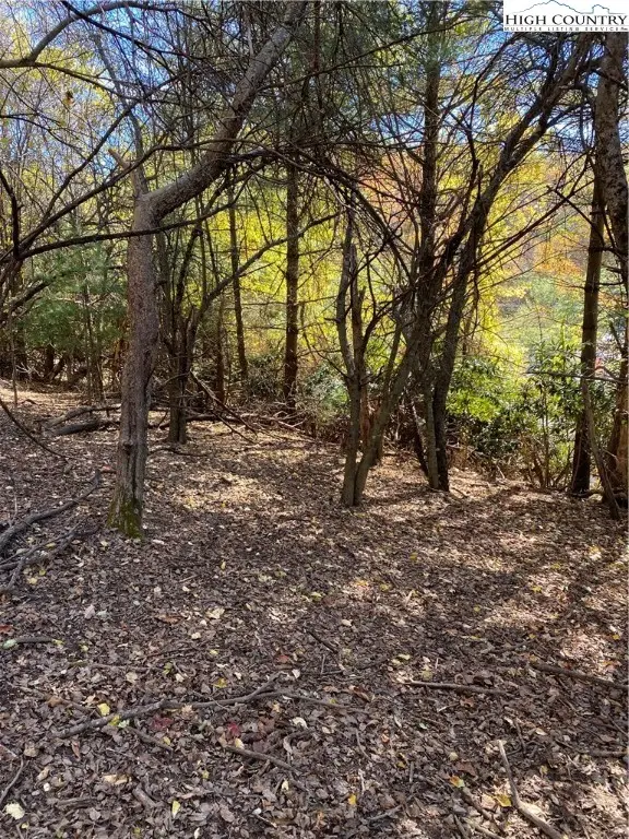 TBD Nc-105 Highway, Boone, NC 28607 - Image #3