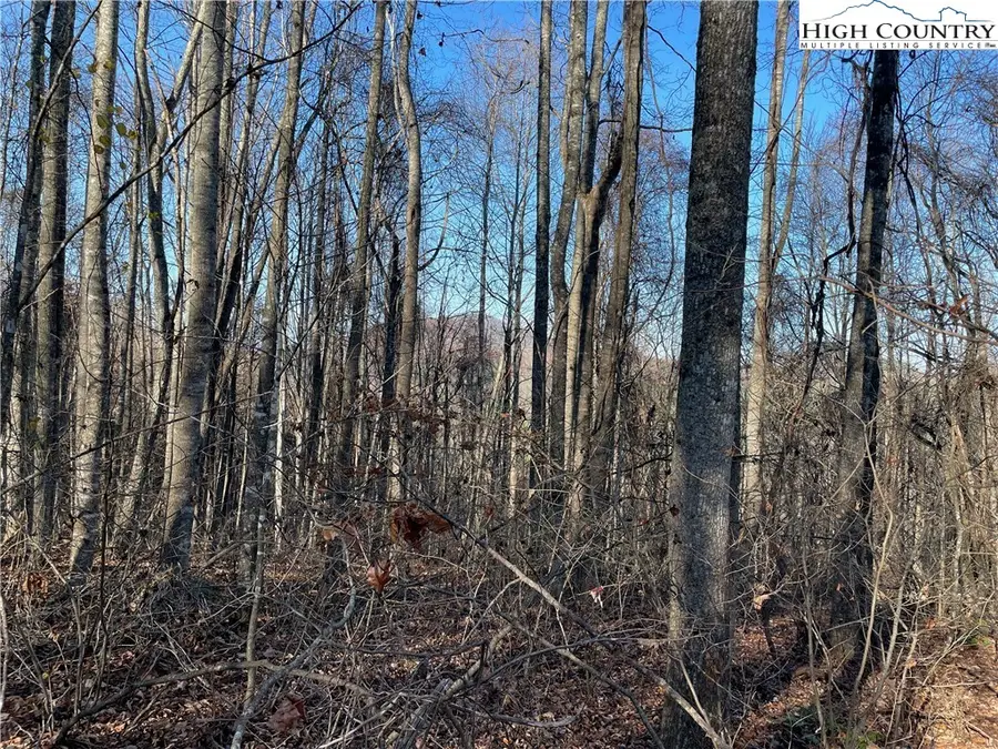 TBD Highland Trail (lot 7), Grassy Creek, NC 28631 - Image #3