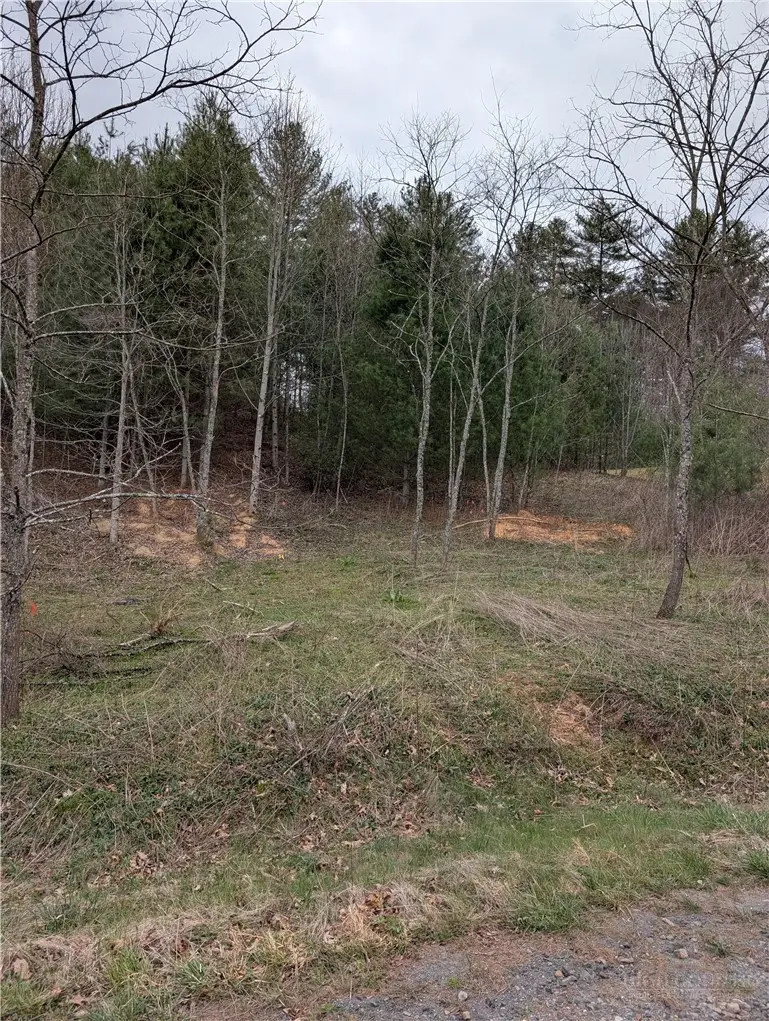 TBD Savannah Ridge Road, Fleetwood, NC 28626 - #2