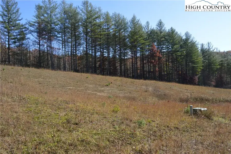 TBD Savannah Ridge Road, Fleetwood, NC 28626 - #3