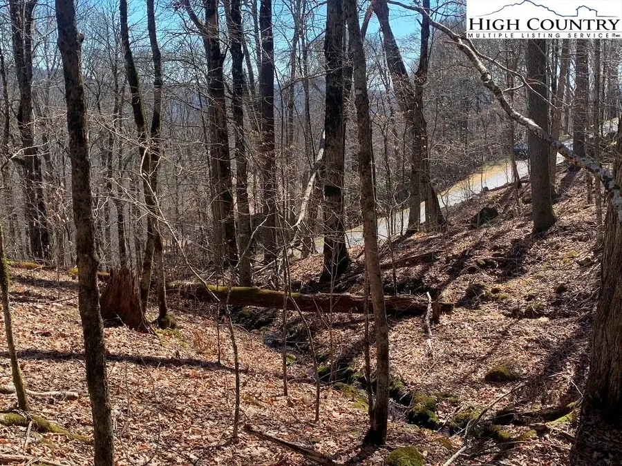 1040 Club Cliffs Drive, Linville, NC 28646 - Image #2