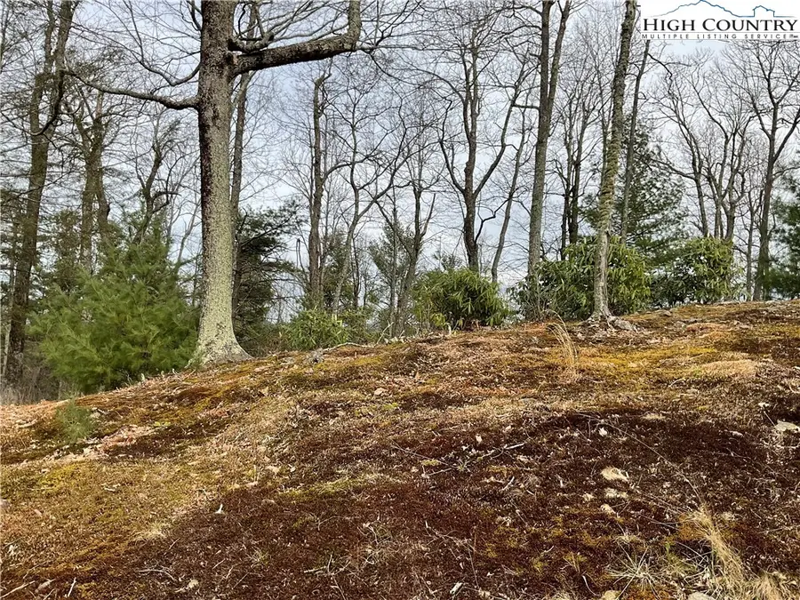 Lot  11 & 12 Sunset Ridge Drive, Boone, NC 28607 - Image #2