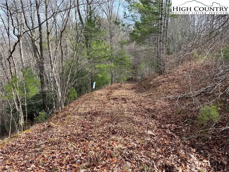 19 Speckled Drive, Laurel Springs, NC 28644 - Image #2