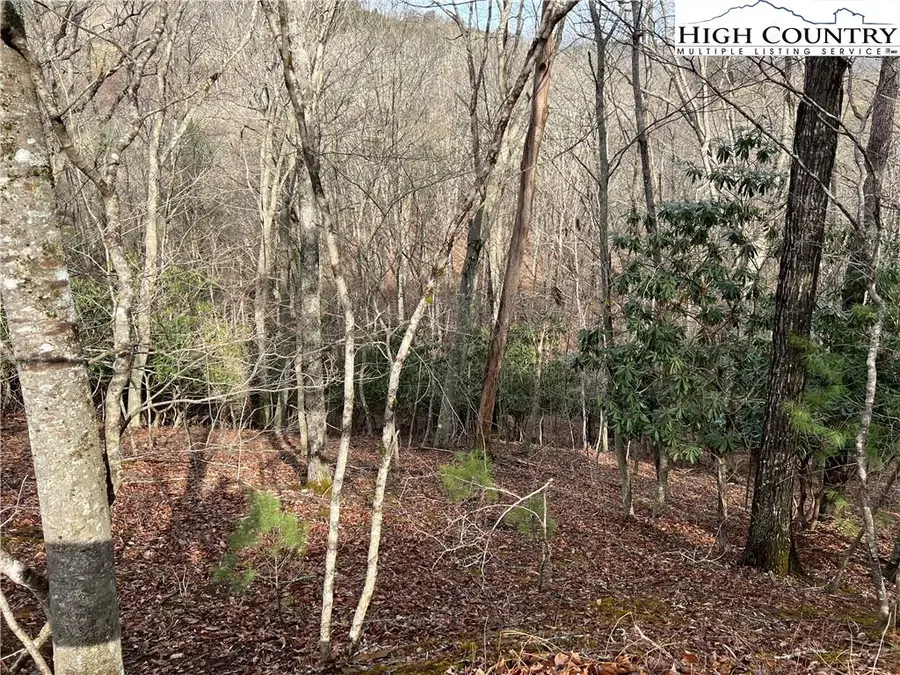 19 Speckled Drive, Laurel Springs, NC 28644 - Image #3