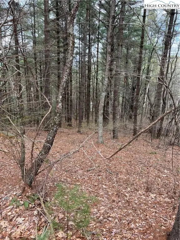 3 Speckled Drive, Laurel Springs, NC 28644 - Image #1