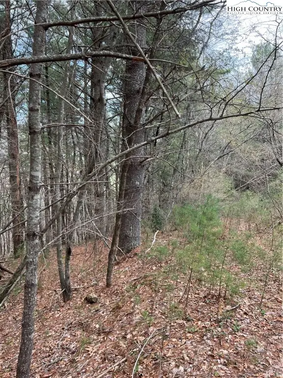 3 Speckled Drive, Laurel Springs, NC 28644 - Image #2